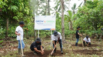 Lawan Krisis Iklim! BRI Tanam Jutaan Pohon dan Terumbu Karang Lewat Program Grow & Green