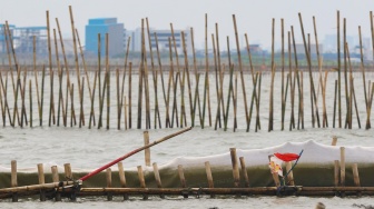 Ini Dia Penampakan Pagar Laut di Bekasi yang Menuai Polemik