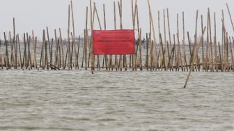 PT TRPN Akui Pagar Laut di Bekasi Dibangun Tanpa Izin: Sejak Awal Kami Langgar UU