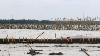 Tak Cuma di Tangerang dan Bekasi, Ratusan Pagar Laut Bertebaran di Batam hingga Surabaya