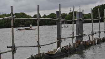 Permasalahan Sertifikat Pagar Laut Meluas, Kini Mencapai Subang, Sumenep dan Pesawaran