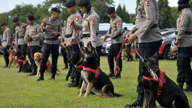 Dikerahkan untuk Ungkap Kasus Petugas TPST Tewas Misterius, Anjing Pelacak Tolak Masuk TKP karena Ketakutan?