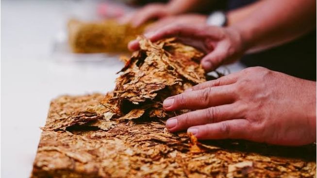 Kamar Salah Satu Apartemen di Bekasi Dijadikan Tempat Produksi Tembakau Sintetis, Pelaku Jual via IG