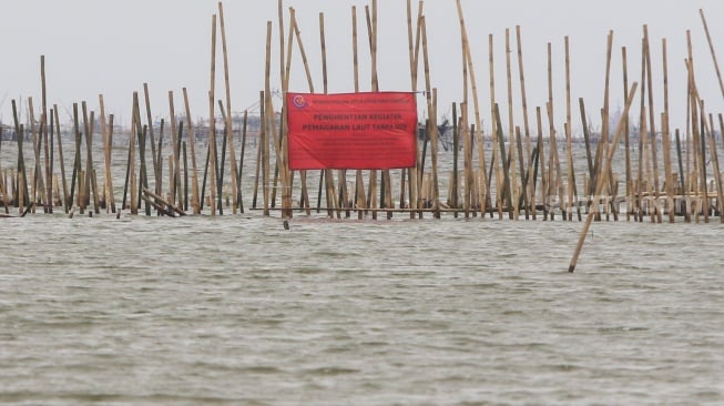 PT TRPN Akui Pagar Laut di Bekasi Dibangun Tanpa Izin: Sejak Awal Kami Langgar UU