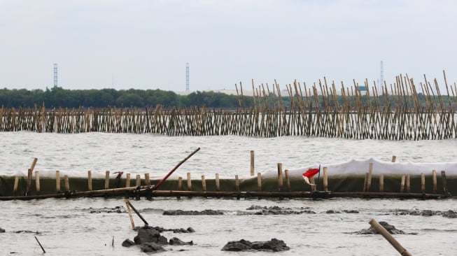 Penampakan pagar laut yang berada di kawasan perairan Tarumajaya, Bekasi, Jawa Barat, Kamis (16/1/2025). [Suara.com/Alfian Winanto]