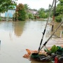 Banjir Belum Surut, Buaya Berkeliaran, Warga Desa Santan Tengah Terjebak Tanpa Bantuan